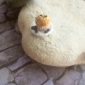 Kundenbild Modellier-Fimo Soft 57g - Wei�