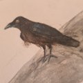 Kundenbild Aquarellstift Albrecht Dürer - 199 Schwarz