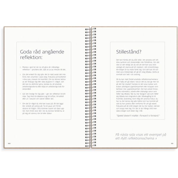 Bilanzprotokoll Bilanzprotokoll