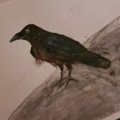 Kundenbild Aquarellstift Albrecht Dürer - 199 Schwarz