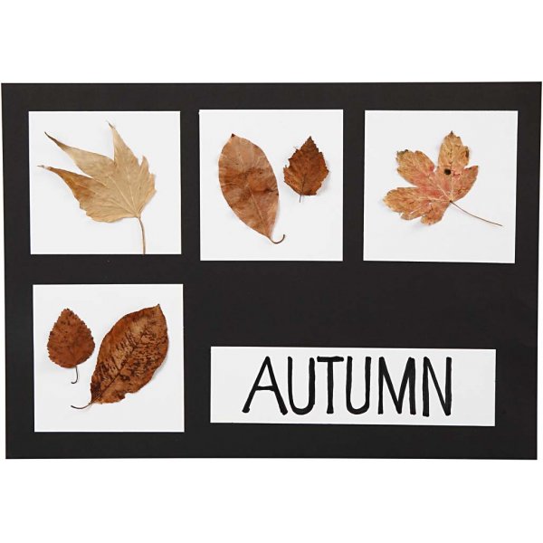 Karton - Schwarzweiß A2, A3, A4 - 600 Stk Karton - Schwarzweiß A2, A3, A4 - 600 Stk