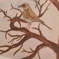 Kundenbild Aquarellstift Albrecht Dürer - 177 Walnussbraun