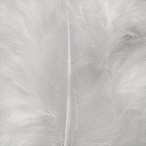 Daunen - weiß - 50 g Daunen - weiß - 50 g