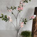 Kundenbild Krepppapier 50 x 250 cm - wei�
