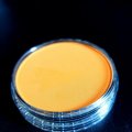 Kundenbild PanPastel - Orange