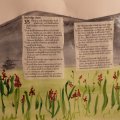 Kundenbild Aquarellfarbe W&N Cotman Halbbecher - 329 Intensives Gr�n