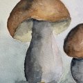 Kundenbild Aquarellblock, geklebt, rauer Hain, Bögen, 300 g - A4