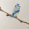 Kundenbild Farbstift Polychromos - 177 Walnussbraun