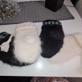 Kundenbild Lovikka-Garn 100g - Schwarz
