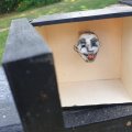 Kundenbild Unbehandelte Holzkiste - 13x13x7,5 cm