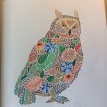 Kundenbild Progresso-Buntstifte - 12 Bleistifte