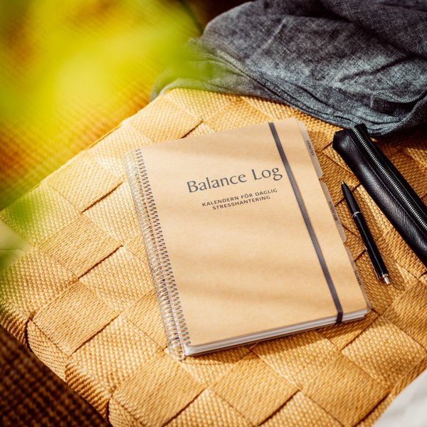 Bilanzprotokoll Bilanzprotokoll