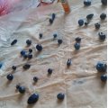 Kundenbild Glanzlack auf Wasserbasis - 10 ml