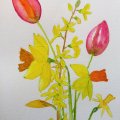 Kundenbild Aquarellfarbe W&N Cotman Half Cup - 109 Kadmiumgelber Farbton