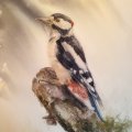 Kundenbild Aquarellblock Kaltgepresste B�gen 640g - 31x41 cm