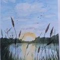 Kundenbild Aquarellfarbe W&N Cotman, 8 ml Tube - 119 Cadmiumgelb, blasser Farbton