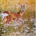 Kundenbild Aquarellblock Rough Grove Arches 300g - 31x41 cm