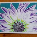 Kundenbild Acrylfarbe Campus 100 ml - Titanweiß (116)
