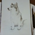 Kundenbild Aquarellblock, geklebte kaltgepresste B�gen, 300 g - A4