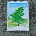 Kundenbild Canson XL Aquarelle 300g - A5