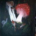 Kundenbild Ölfarbe W&N Winton 37 ml - 468 Permanent Alizarin Crimson