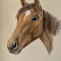 Kundenbild Canson Mi-Teintes Touch 350g 50x65 cm - Creme