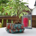 Kundenbild DAS Clay 1 kg Terrakotta