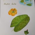 Kundenbild Canson XL Aquarelle 300g - A3