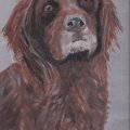 Kundenbild Baumwolltuch 380g - 24x30 cm