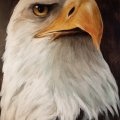 Kundenbild Acrylblock Hahnem�hle 330g - 24x32cm