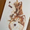 Kundenbild Aquarellblock, geklebt, heißgepresste Bögen, 300 g - A4