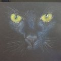Kundenbild Skizzenbuch Sakura Schwarzes Papier 140g 80 Blatt - 13x21 cm