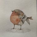 Kundenbild Aquarell W&N Cotman Half Cup - 609 Sepia