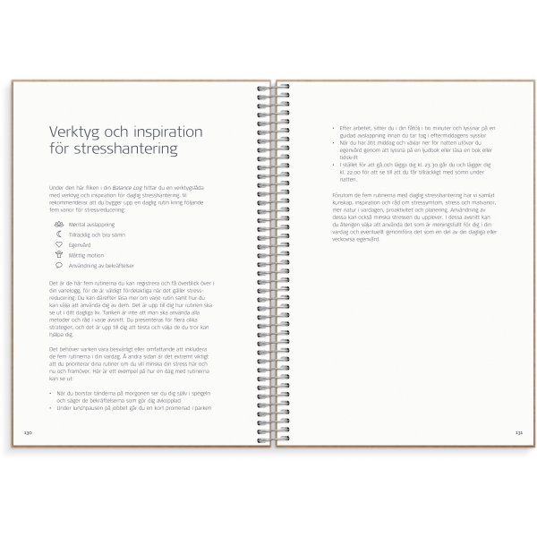 Bilanzprotokoll Bilanzprotokoll