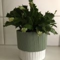 Kundenbild Blumenstäbchen 40 cm x 4 mm - 50er-Pack