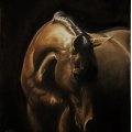 Kundenbild PanPastel - Gebrannter Siena-Farbton