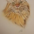 Kundenbild Accademia-Zeichenblock, 297 x 420 mm