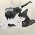 Kundenbild Farbstift Polychromos - 199 Schwarz