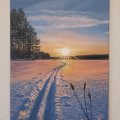 Kundenbild Acrylfarbe W&N Galeria 500ml - 644 Titanweiß