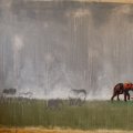 Kundenbild Edles Baumwolltuch, Nr. 501 - 10 Meter - 80 cm breit
