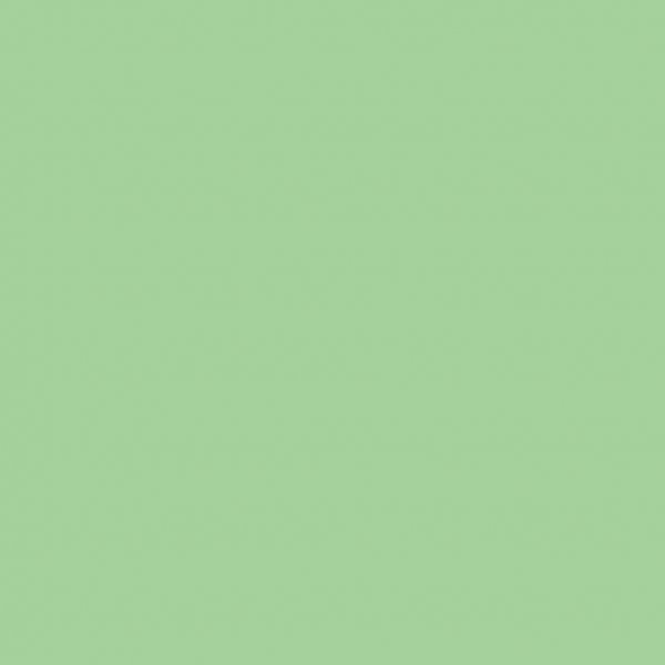 Silk Clay® - hellgrün - 40 g Silk Clay® - hellgrün - 40 g