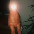 Kundenbild DAS Clay 1 kg Terrakotta