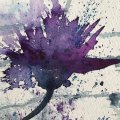 Kundenbild Aquarellfarbe W&N Professional 5 ml Tube - 322 Indigo