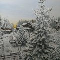 Kundenbild Acrylfarbe W&N Galeria 120ml - 346 Zitronengelb