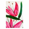 Kundenbild Aquarellfarbe W&N Cotman Half Cup - 580 Rosenkrapp-Farbton