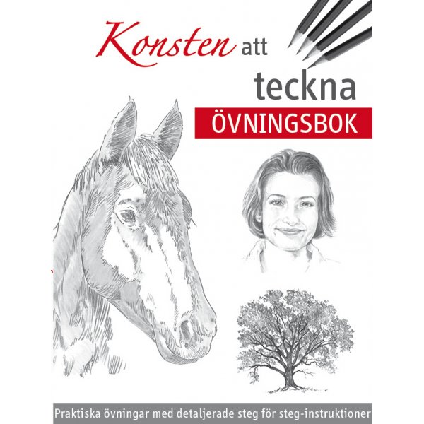 Lehrbuch - Die Kunst des Zeichnens: bungsbuch