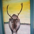 Kundenbild Amsterdamer Acrylfarbe 500 ml - Preußischblaues Phtalo