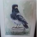 Kundenbild Aquarellblock, geklebt, rauer Hain, Bögen, 300 g - A4