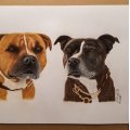 Kundenbild Accademia-Zeichenblock, 210x297 mm