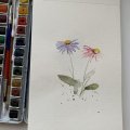 Kundenbild Aquarellfarbe W&N Cotman Half Cup - 003 Alizarin Purpurton